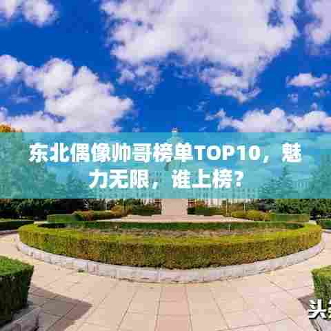 东北偶像帅哥榜单TOP10，魅力无限，谁上榜？