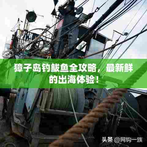 獐子岛钓鲅鱼全攻略，最新鲜的出海体验！