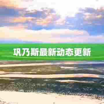 巩乃斯最新动态更新