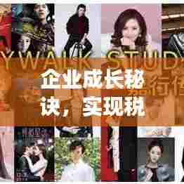 企业成长秘诀，实现税后净利润持续增长之路