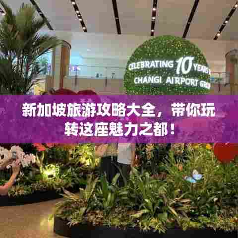 新加坡旅游攻略大全，带你玩转这座魅力之都！