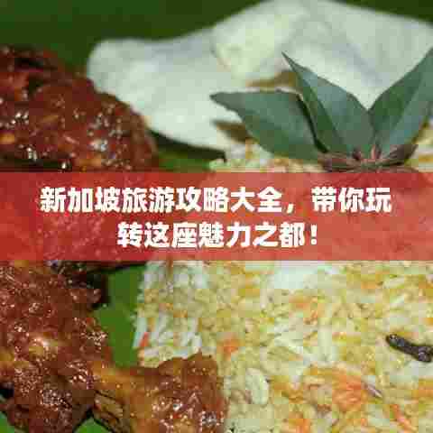 新加坡旅游攻略大全,带你玩转这座魅力之都!