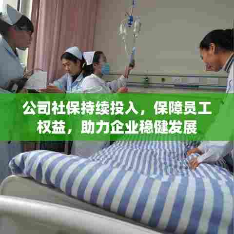公司社保持续投入，保障员工权益，助力企业稳健发展