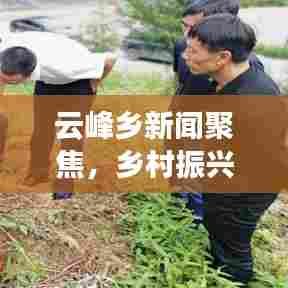 云峰乡新闻聚焦，乡村振兴与地方发展的融合创新之道