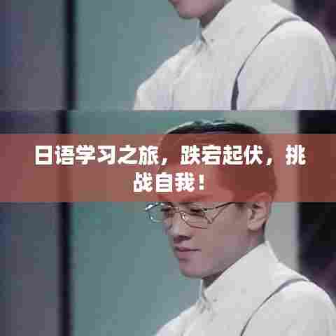日语学习之旅,跌宕起伏,挑战自我!