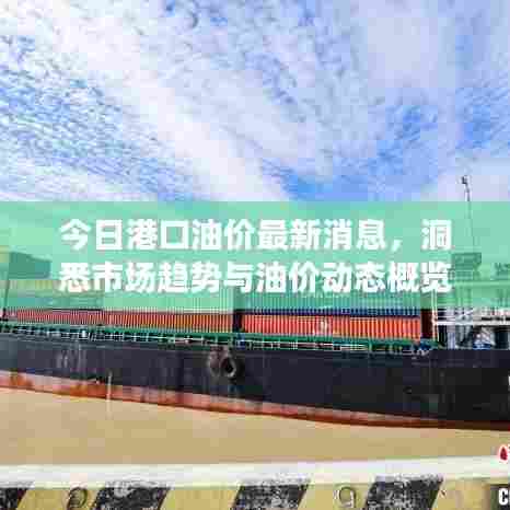 今日港口油价最新消息，洞悉市场趋势与油价动态概览