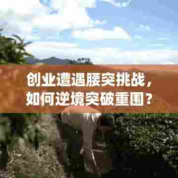 创业遭遇腰突挑战，如何逆境突破重围？