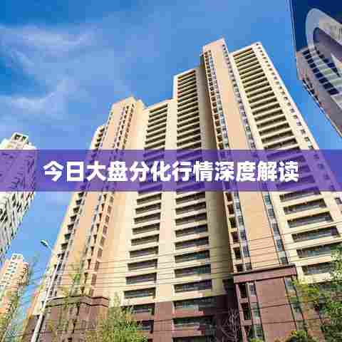 今日大盘分化行情深度解读