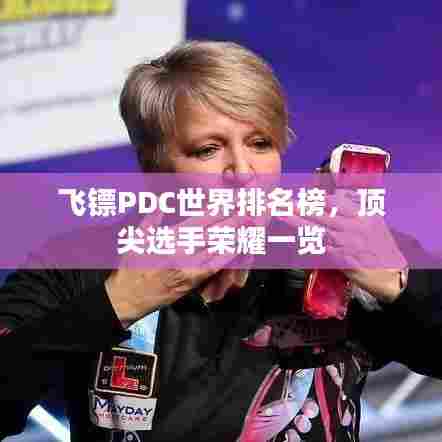 飞镖PDC世界排名榜，顶尖选手荣耀一览