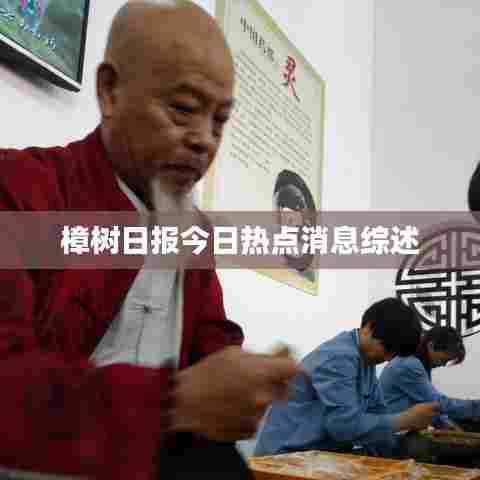 樟树日报今日热点消息综述