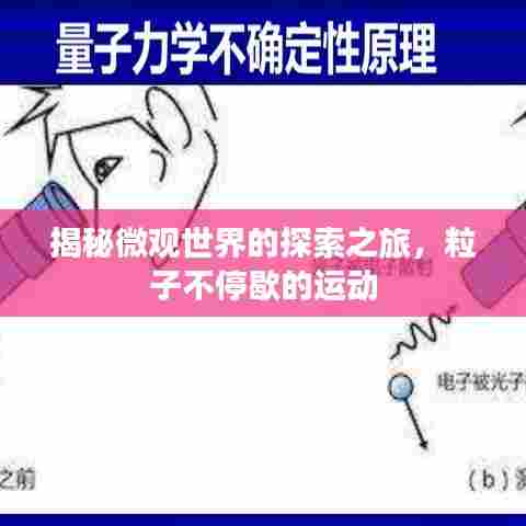 揭秘微观世界的探索之旅，粒子不停歇的运动