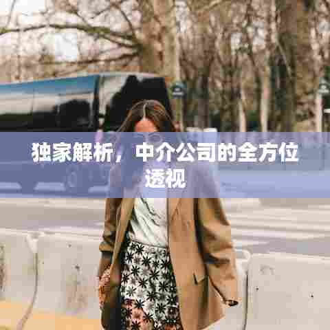 独家解析，中介公司的全方位透视