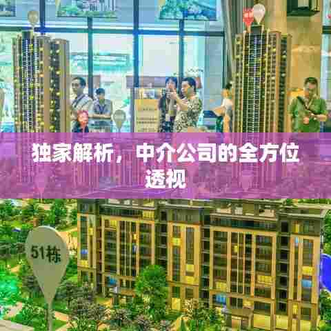 独家解析,中介公司的全方位透视