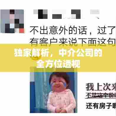 独家解析,中介公司的全方位透视