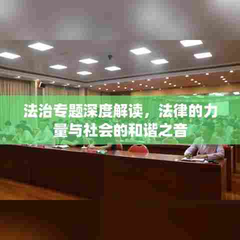 法治专题深度解读，法律的力量与社会的和谐之音