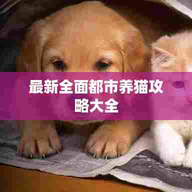 最新全面都市养猫攻略大全