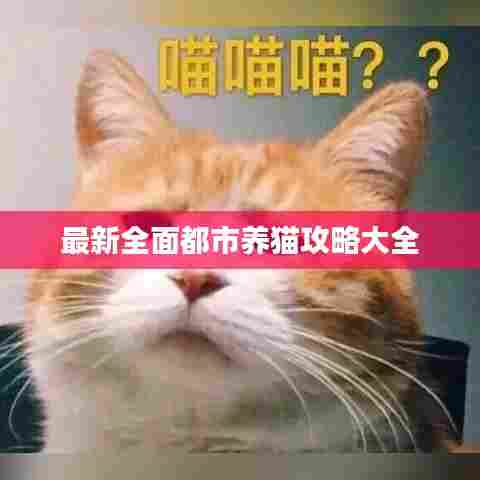 最新全面都市养猫攻略大全