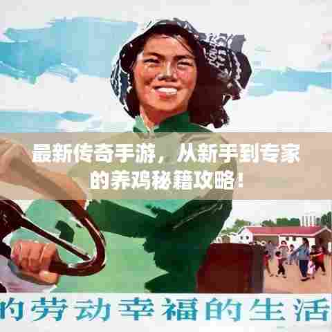 最新传奇手游，从新手到专家的养鸡秘籍攻略！