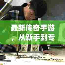 最新传奇手游,从新手到专家的养鸡秘籍攻略!