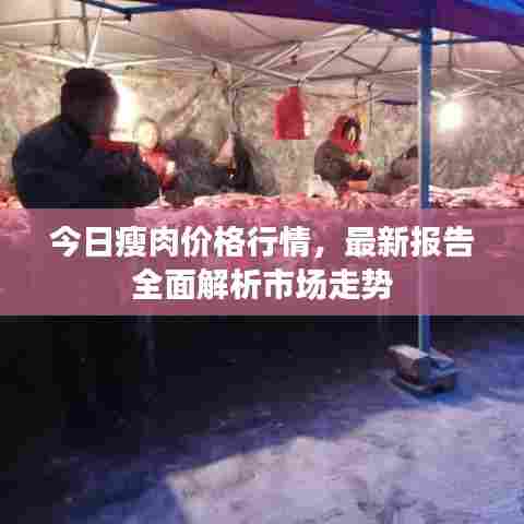 今日瘦肉价格行情,最新报告全面解析市场走势