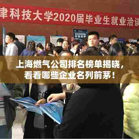 上海燃气公司排名榜单揭晓，看看哪些企业名列前茅！