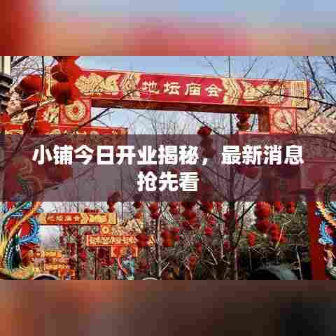 小铺今日开业揭秘,最新消息抢先看