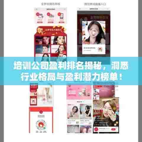 培训公司盈利排名揭秘，洞悉行业格局与盈利潜力榜单！