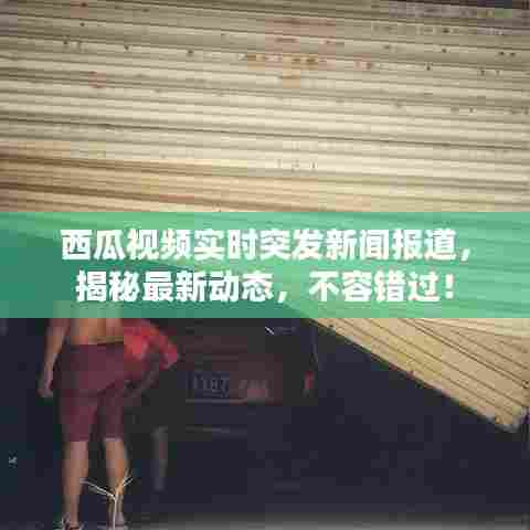西瓜视频实时突发新闻报道，揭秘最新动态，不容错过！
