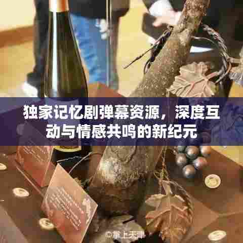 独家记忆剧弹幕资源，深度互动与情感共鸣的新纪元