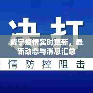 咸宁疫情实时更新，最新动态与消息汇总