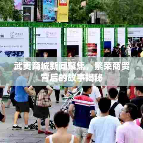 武夷商城新闻聚焦，繁荣商贸背后的故事揭秘