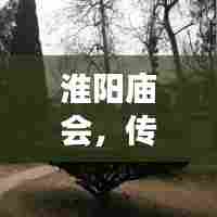 淮阳庙会,传统与现代交融的盛宴专题探索