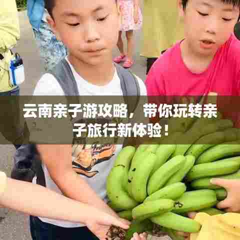 云南亲子游攻略，带你玩转亲子旅行新体验！