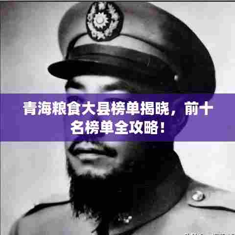 青海粮食大县榜单揭晓，前十名榜单全攻略！