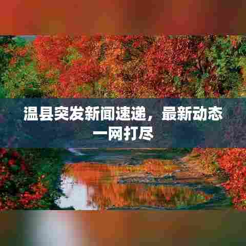 温县突发新闻速递，最新动态一网打尽