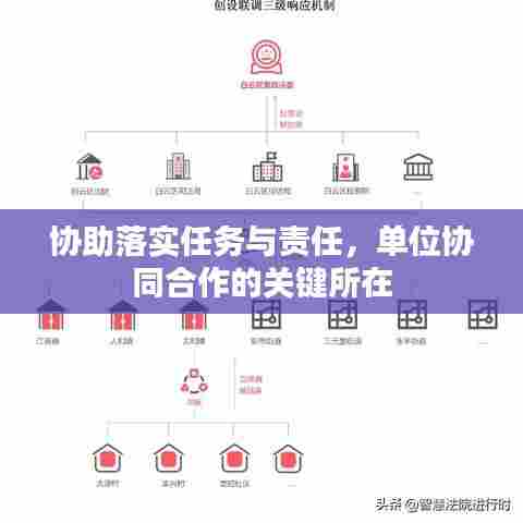 协助落实任务与责任，单位协同合作的关键所在