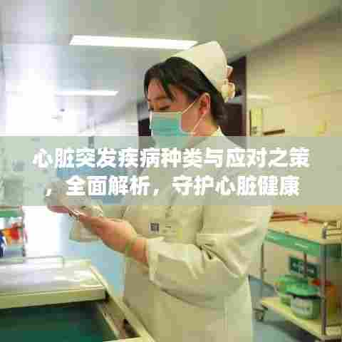 心脏突发疾病种类与应对之策,全面解析,守护心脏健康
