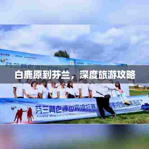 白鹿原到芬兰，深度旅游攻略