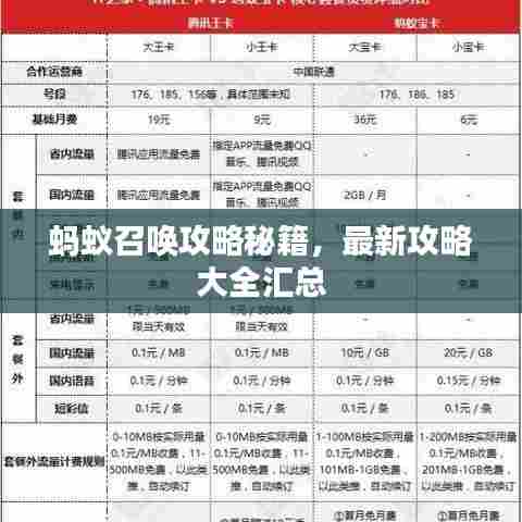 蚂蚁召唤攻略秘籍，最新攻略大全汇总