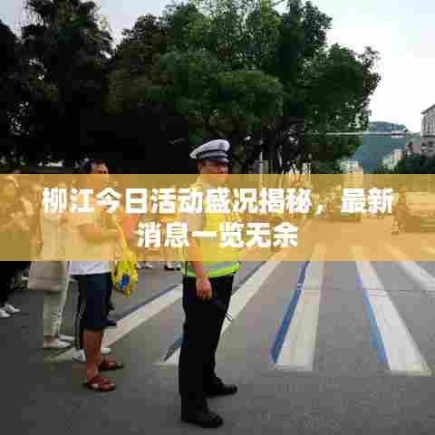 柳江今日活动盛况揭秘，最新消息一览无余