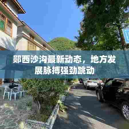 郧西沙沟最新动态，地方发展脉搏强劲跳动