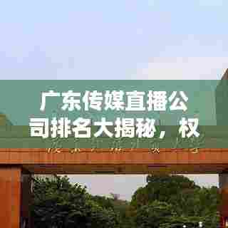 广东传媒直播公司排名大揭秘,权威榜单,不容错过!
