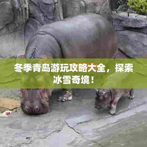 冬季青岛游玩攻略大全,探索冰雪奇境!