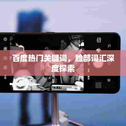 百度热门关键词，脸部词汇深度探索