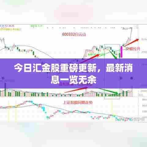 今日汇金股重磅更新,最新消息一览无余