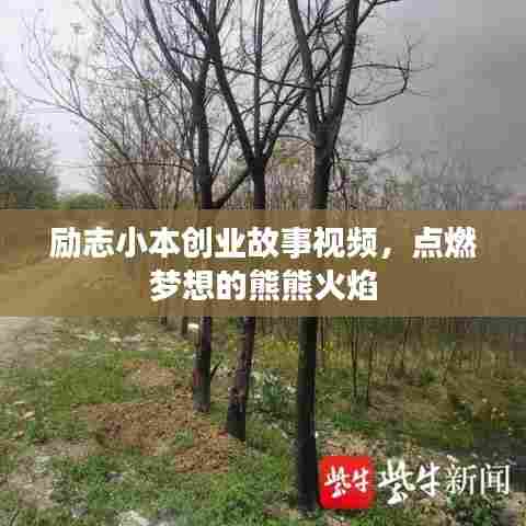 励志小本创业故事视频，点燃梦想的熊熊火焰