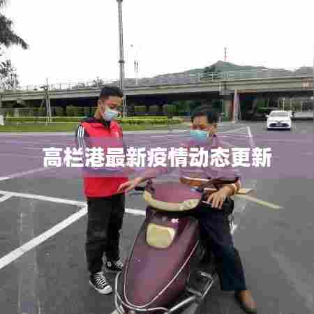 高栏港最新疫情动态更新