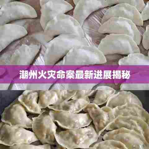 潮州火灾命案最新进展揭秘