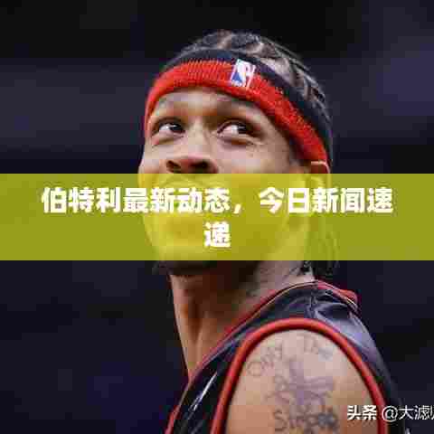 伯特利最新动态，今日新闻速递