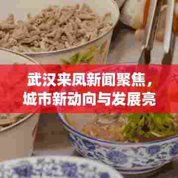 武汉来凤新闻聚焦，城市新动向与发展亮点揭秘